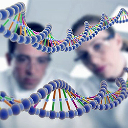 Генетика и интелект